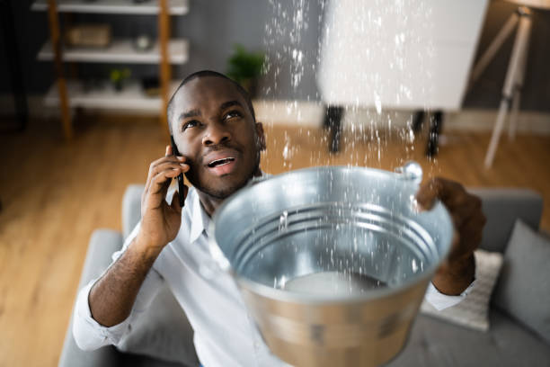 Best Sewage cleanup and water damage restoration  in Pocola, OK