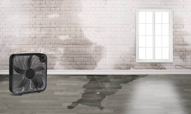 Best 24/7 water damage repair  in Pocola, OK