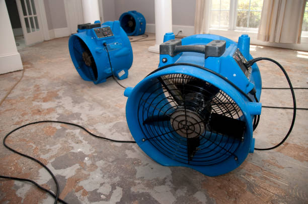 Best Water damage cleanup near me  in Pocola, OK