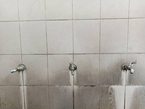 Best Carpet water damage restoration  in Pocola, OK