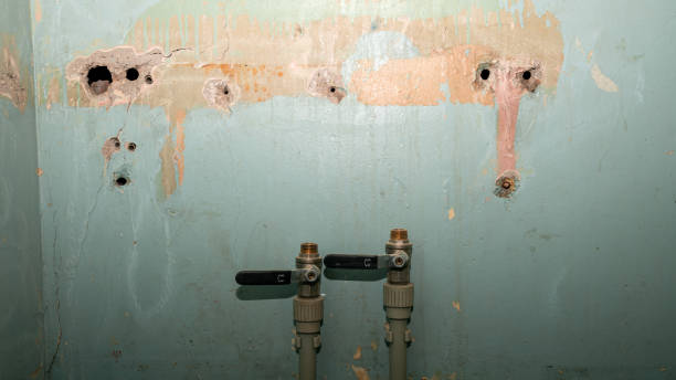 Best Flood restoration services  in Pocola, OK