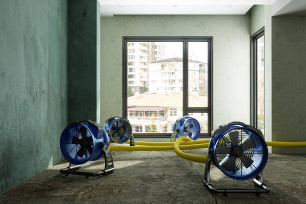 Best Water damage restoration company  in Pocola, OK