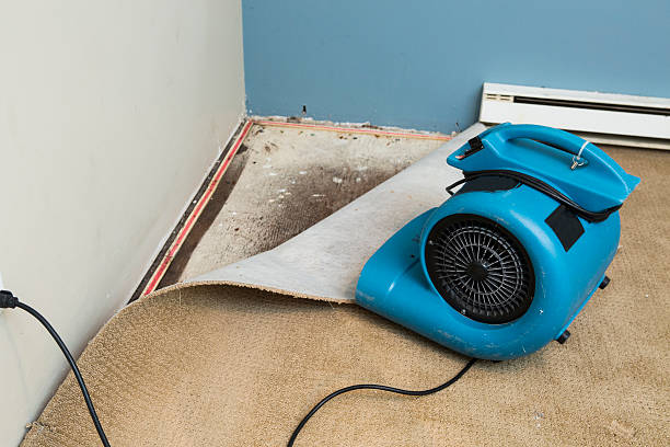 Best Mold removal after water damage  in Pocola, OK
